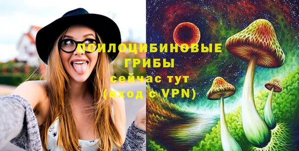 тгк Медвежьегорск